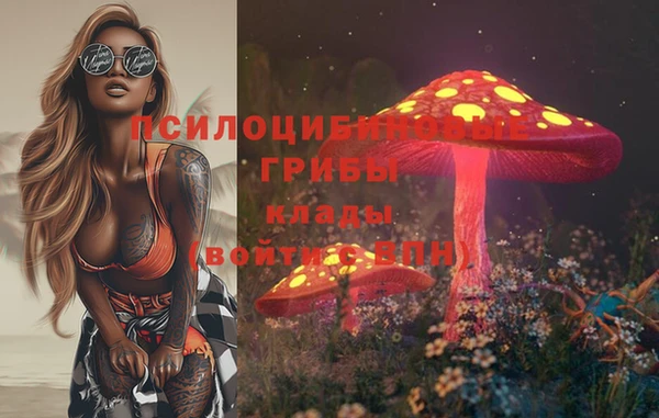бошки Абдулино