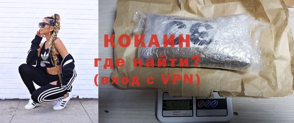 тгк Абаза